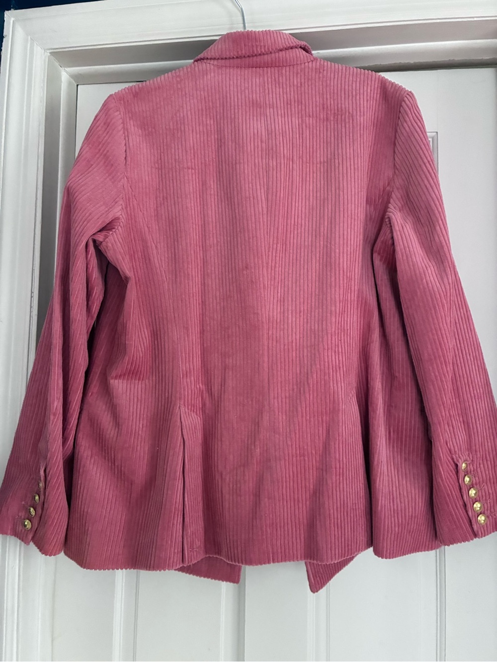 Rowing Blazers + Target - Pink Corduroy Double-Breasted Blazer with Gold Buttons - Picture 6 of 7